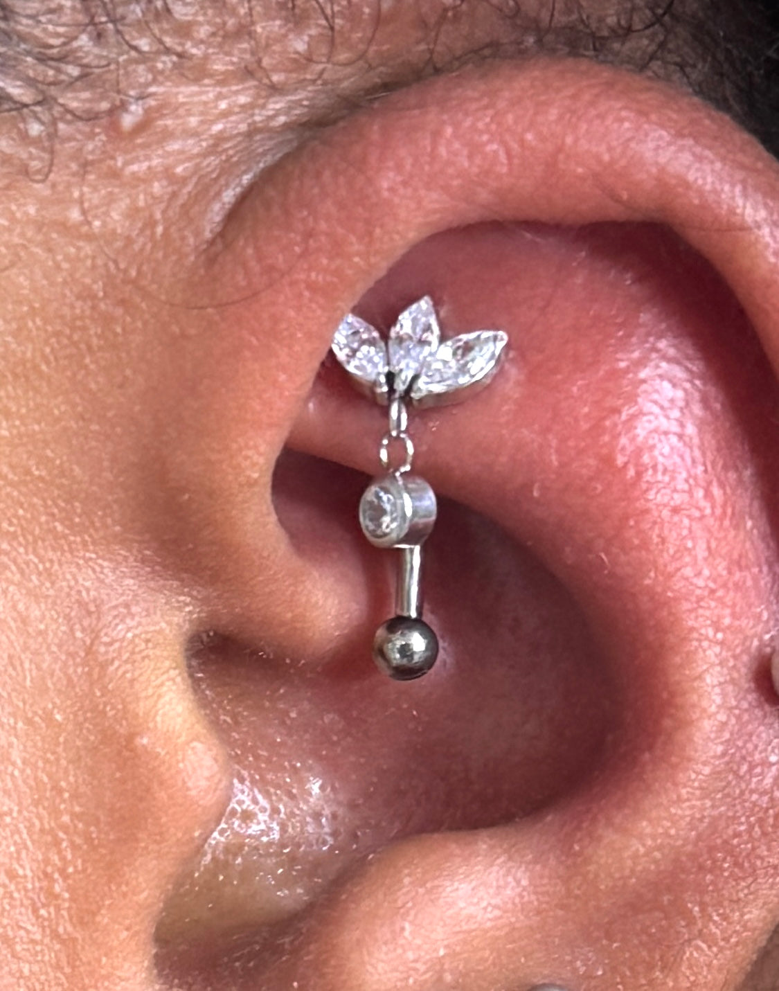Rook