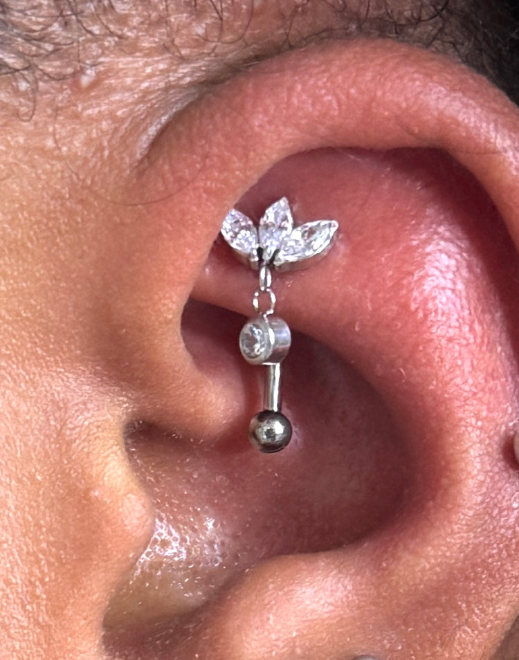 Rook
