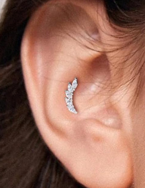 Conch