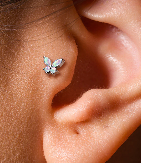 Tragus