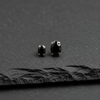 Black Gem Prongs product image