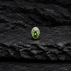 Green Dermal Surface Top product image